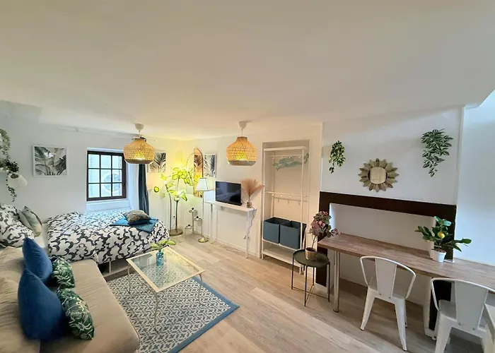 Cosy Azur - Place Verdun